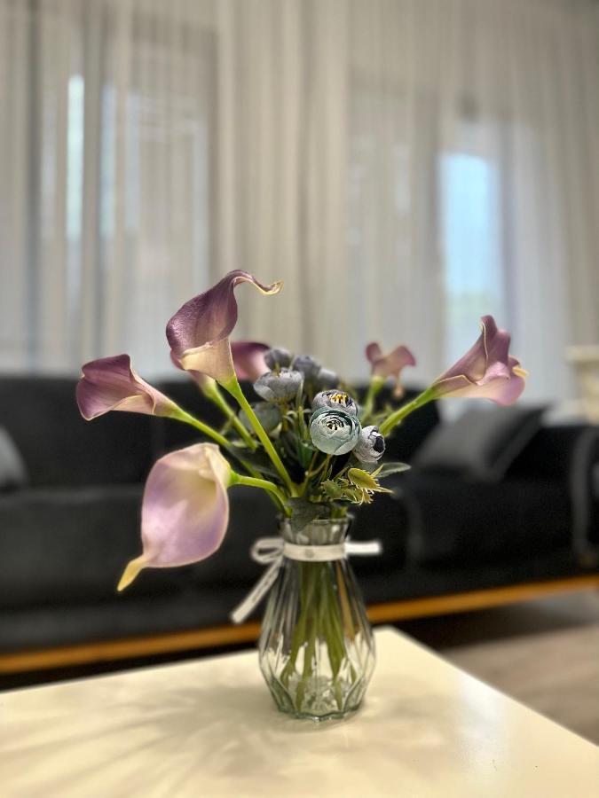 Aparthotel クタイシ エクステリア 写真